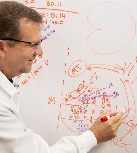 Marty explaining the dorsal visual pathway